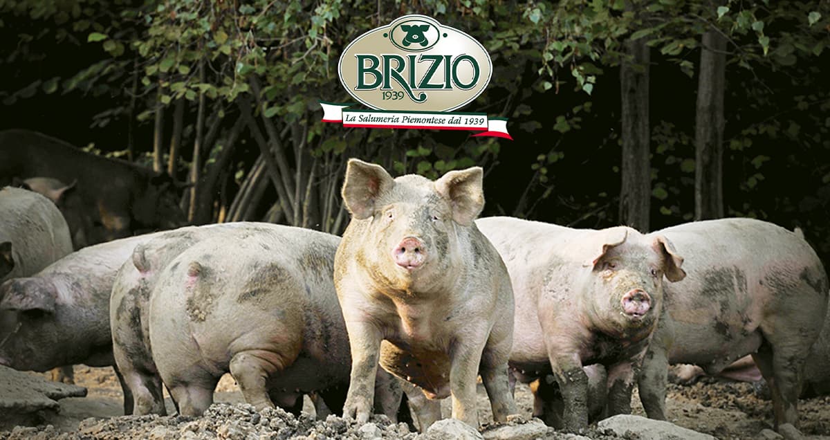 Brizio Salumi